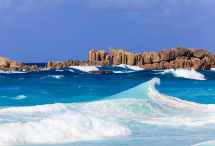 塞舌爾公司逾期年審有什么后果？