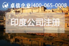 特斯拉注冊(cè)印度公司 印度有哪些吸引外資入駐的優(yōu)勢