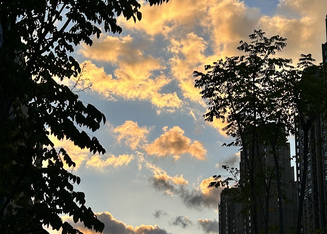 荷蘭公司注冊(cè)全流程文件清單及合規(guī)要求