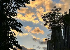 2025上半年，中國(guó)企業(yè)出海刷新全球副本：更猛、更強(qiáng)、更聰明