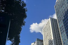 卡塔爾公司名稱注冊(cè)規(guī)范：核心要求與實(shí)操指南